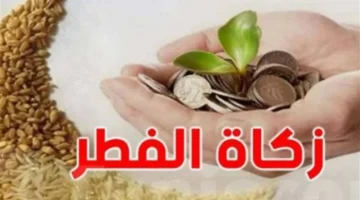 مفتي الجمهورية يحدد قيمة زكاة الفطر بـ 35 جنيهاً للفرد هذا العام